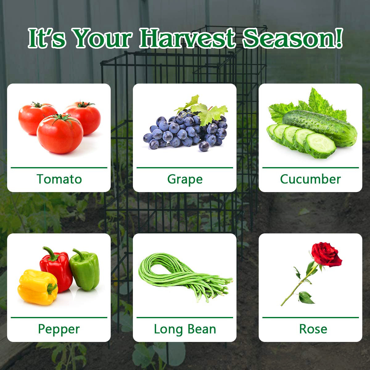 39 インチ メタル ガーデン トレリス (4 個パック)