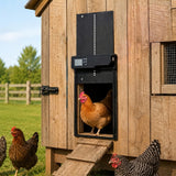 Solar Powered Automatic Chicken Coop Door