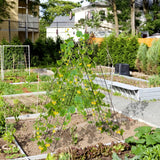 A-Frame Garden Trellis for Climbing Plant with Ground Stake and Cable Tie-Green