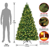 6-foot Lighted Artificial Fir Christmas Tree