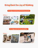 Dog Wheelchair for Back Legs, Adjustable 2 Wheels Pet Wheelchair, Lightweight Dog Cart with Shock-Absorbing Wheels, Mobility Support Wheel Chair for Disabled Injured Dogs up to 33lbs, Medium