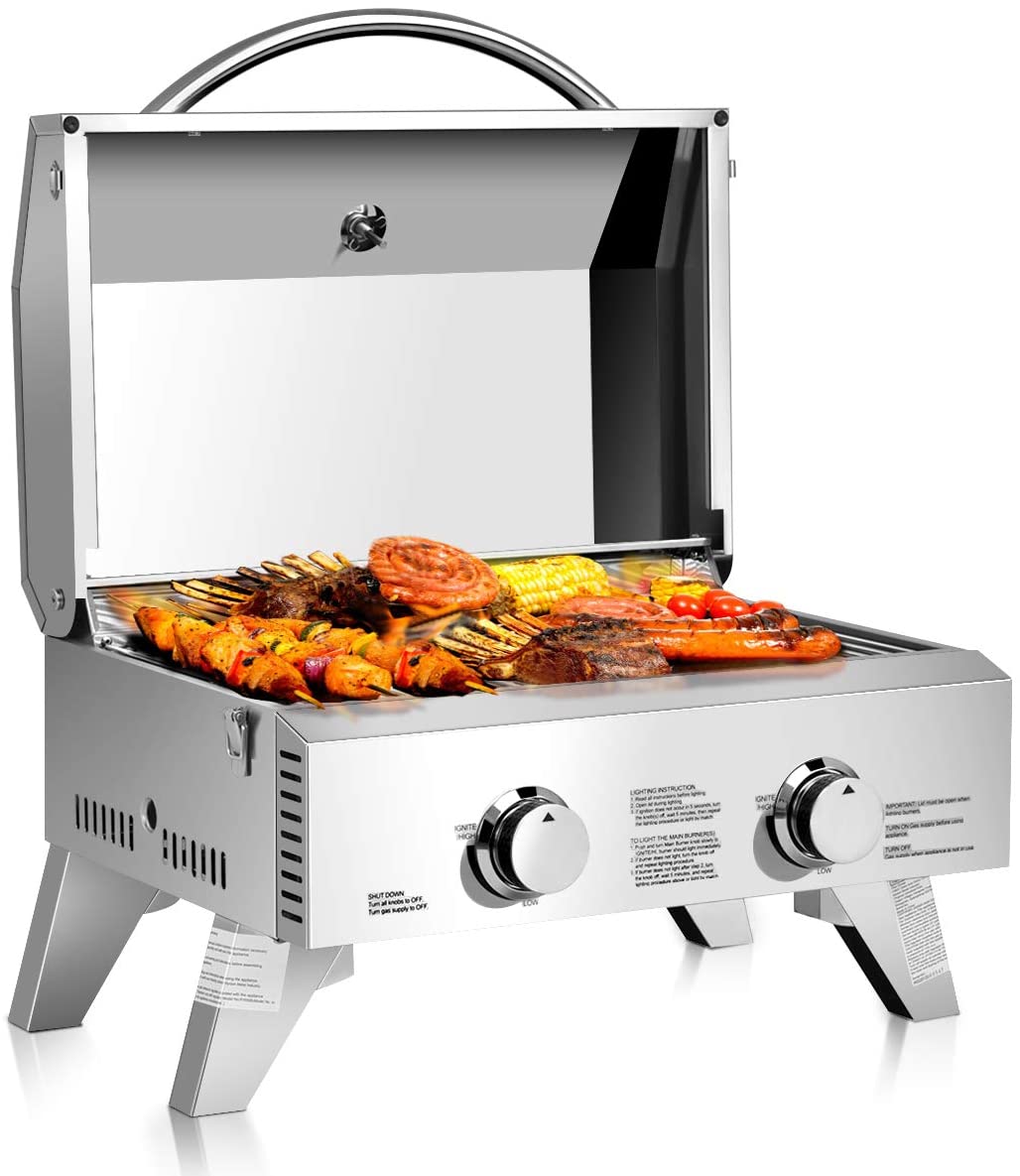 2-Burner Portable Tabletop Propane Gas Grill in Stainless Steel – Skonyon