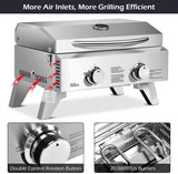 2-Burner Portable Tabletop Propane Gas Grill in Stainless Steel