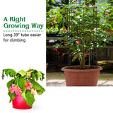 39 in. Metal Garden Trellis (4-Pack)