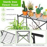 24 in. Tall Outdoor Black Metal Plant Stand (2-Tiered)